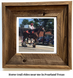 horse trail rides near me in Pearland, Texas